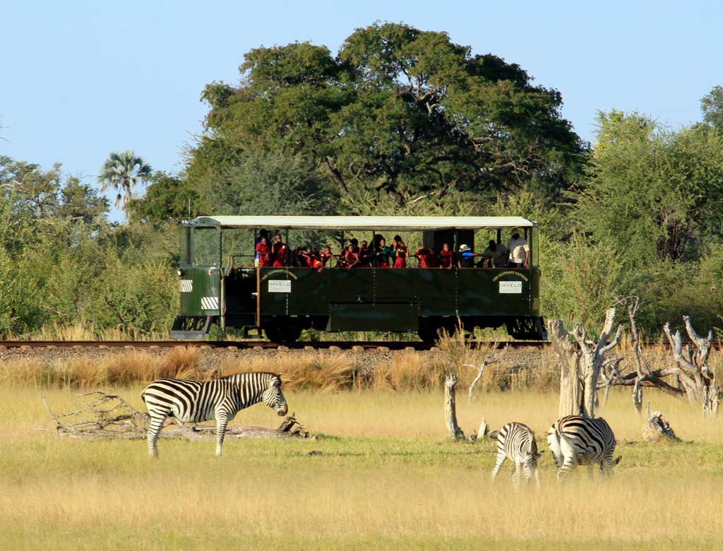 Elephant-Express-Hi-Res-_MG_4720.jpg