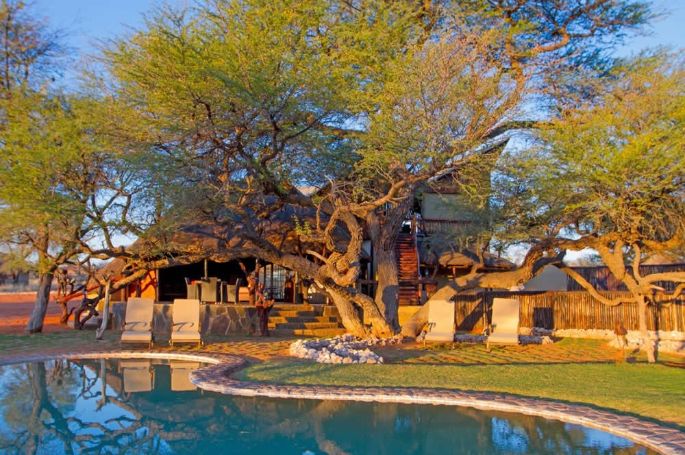 the_aptly_named_camelthorn_kalahari_lodge_namibia.jpg