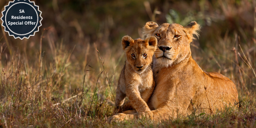 4 Nights Kruger and Pano Route Tour