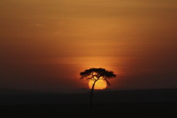 Warm Weather Escapes: Top 5 Destinations in South Africa for June/July