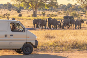 Kruger National Park