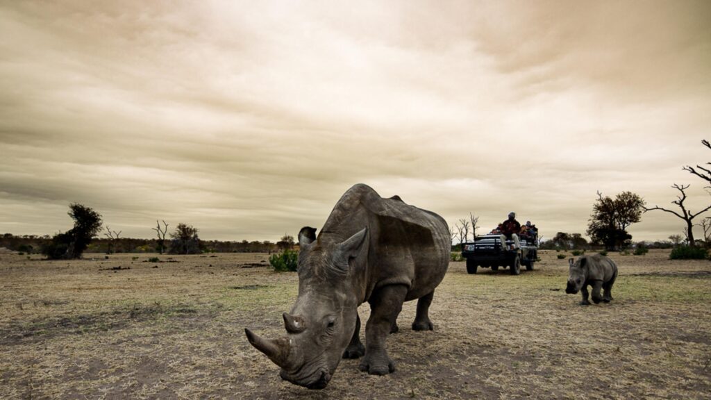 Southern africa 360 package may 2026 (3)