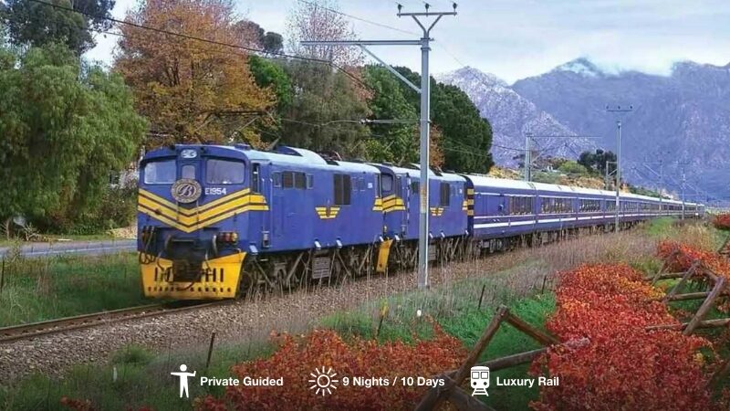 10-day Cape Town, Blue Train & Safari