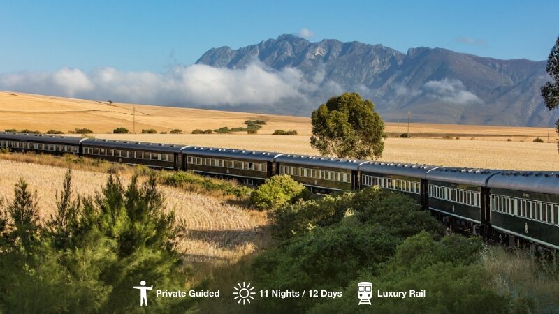 12-day Cape Town, Rovos Rail & Kruger