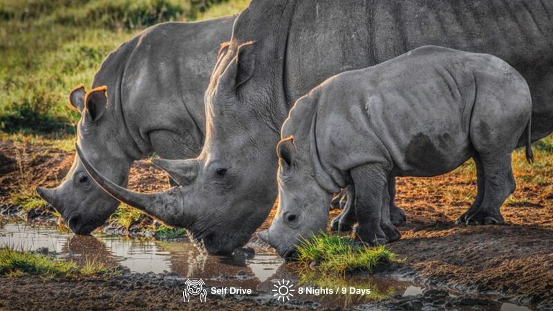 14 Day KwaZulu Natal Discovery