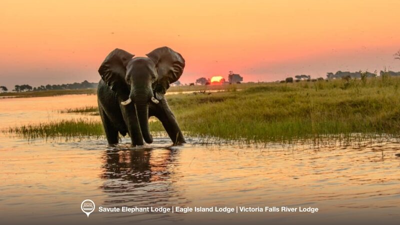 SouthernAfrica360_8-Days Botswana & Victoria Falls Safari